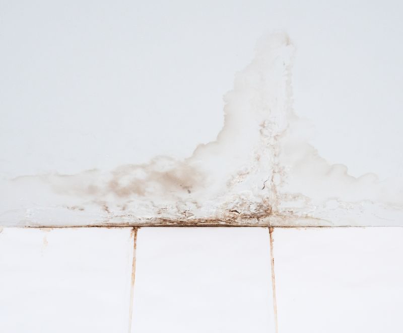 Ceiling Leak Repair Service in Katy, TX
