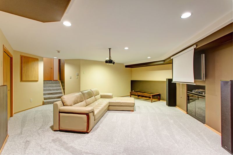 Modern Basement Finish
